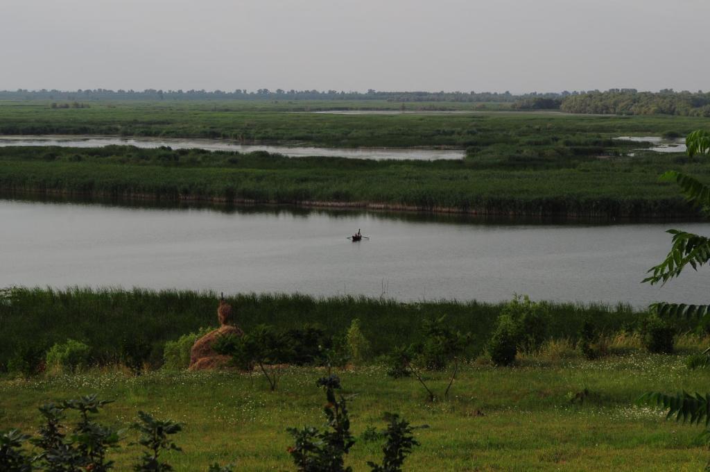 טולצ'אה Delta Nature Resort מראה חיצוני תמונה